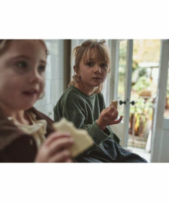 Cassandre Velvet Sweatshirt Chrome green Poudre Organic Fashion Baby, Children -Baby Tops Elegant Store cassandre velvet sweatshirt chrome green poudre organic fashion baby children 3