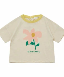 Dregea T-shirt Ecru Caramel Fashion Baby, Children