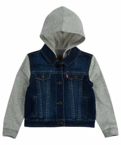 Jacket Blue Levi's Fashion Baby