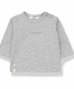 Set of 2 Organic Cotton Sasha T-shirts Grey 1+ in the family Fashion Baby